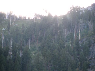 img_1584.jpg 