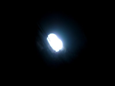 img_1588.jpg 