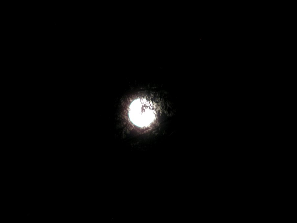 img_1586.jpg 