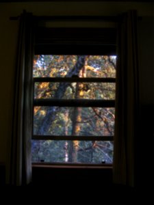 img_1533.jpg 