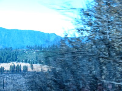 img_1591.jpg 