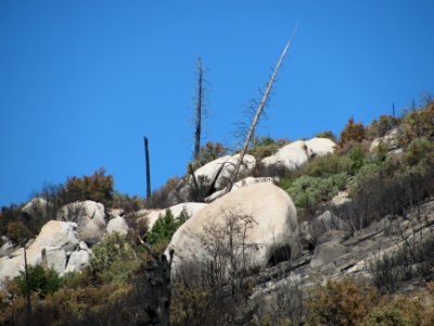 img_1618.jpg 