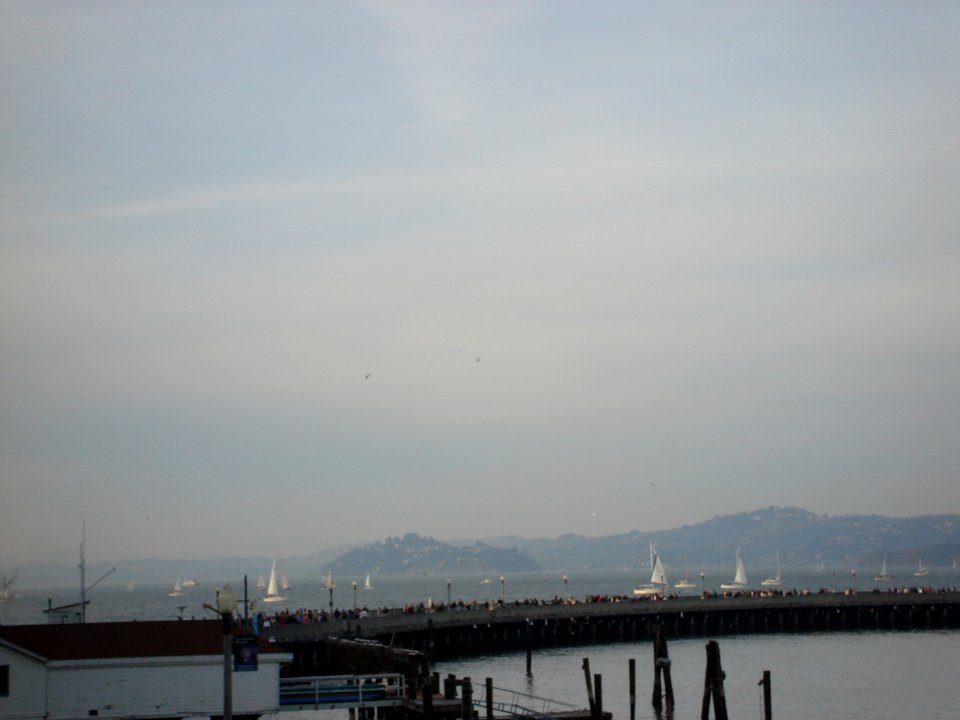 dsc01133.jpg 