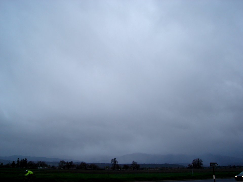 dsc01156.jpg 