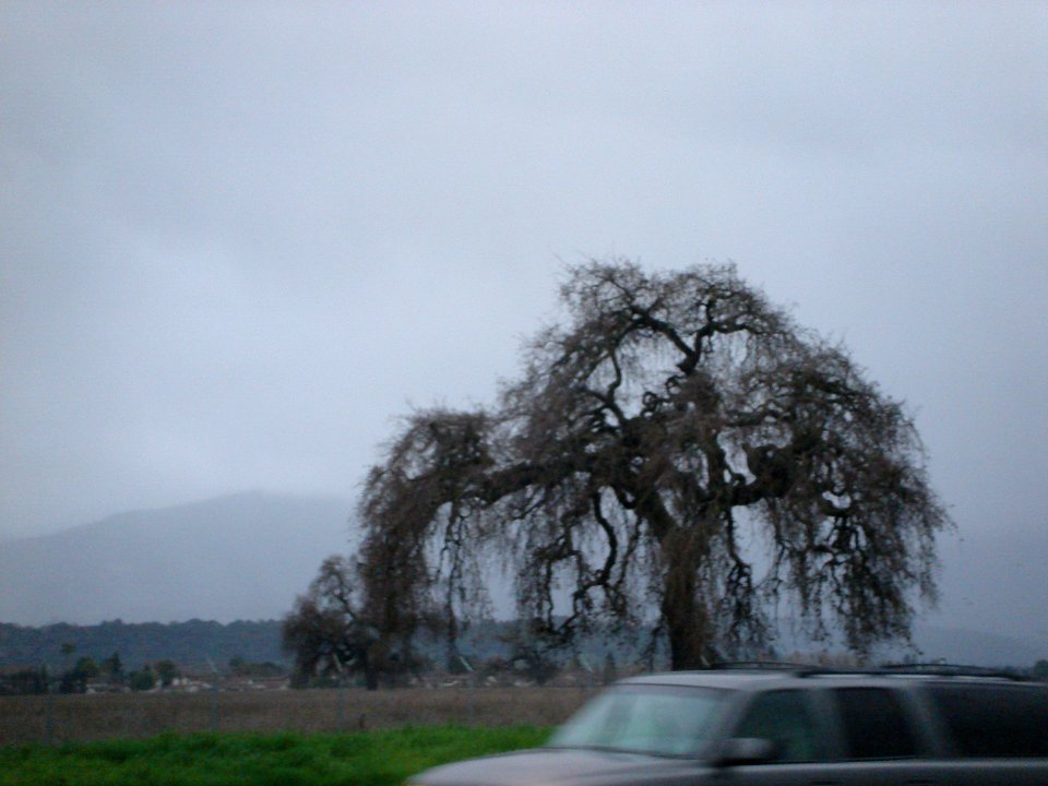 dsc01162.jpg 