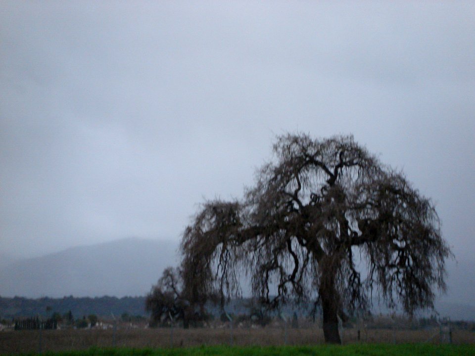 dsc01163.jpg 