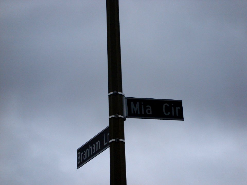 dsc01164.jpg 