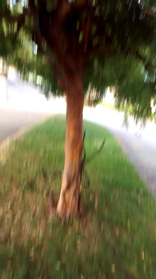 IMG_20180508_191940304 