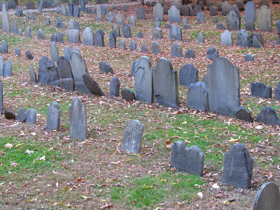 img_1954.jpg 