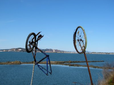 img_2049.jpg 