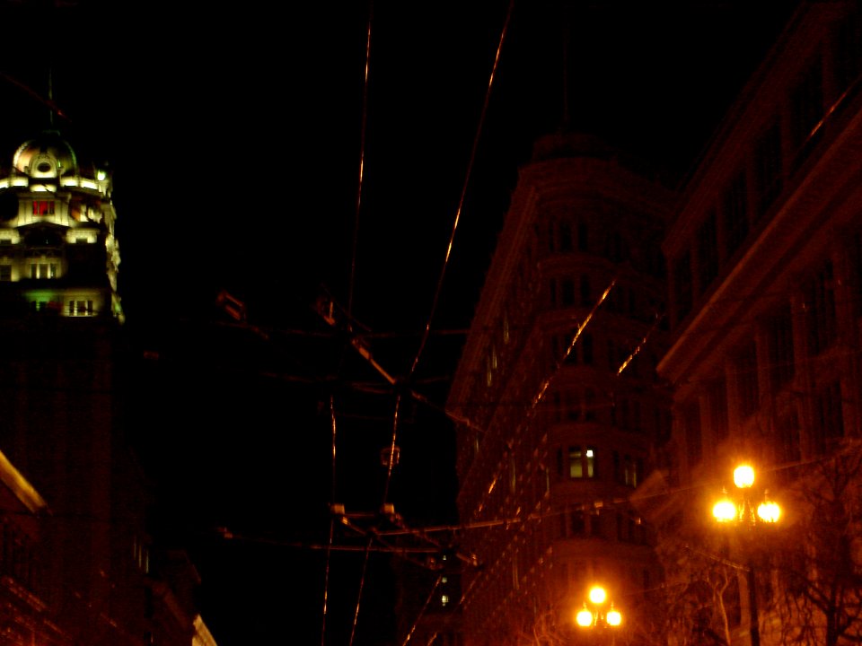 dsc01170.jpg 