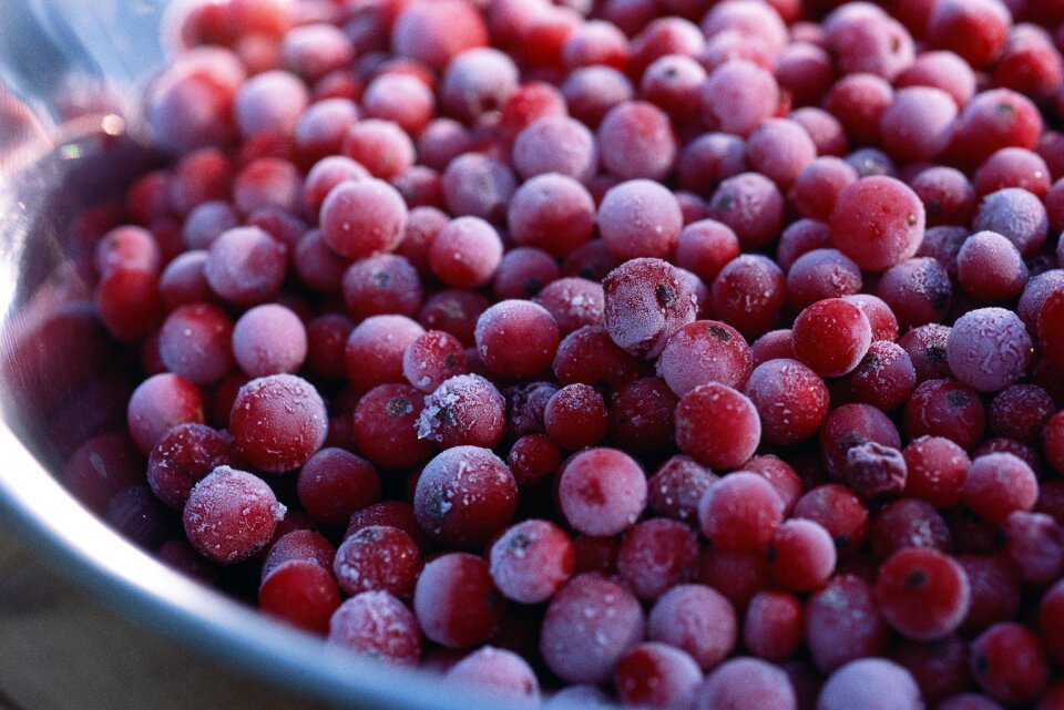 Nutrition ingredient healthy