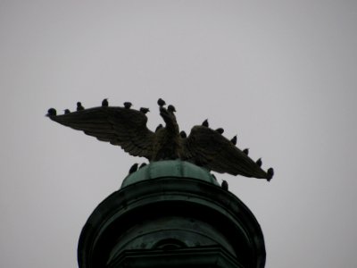 img_2146.jpg 