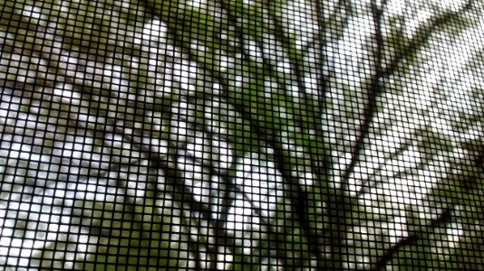 IMG_20180511_190438391 