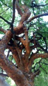 IMG_20180508_191905258 