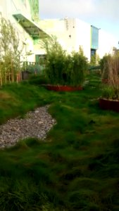 IMG_20180508_192358798 