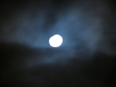img_2227.jpg 