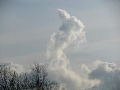 img_2307.jpg 