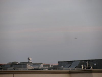 img_2310.jpg 