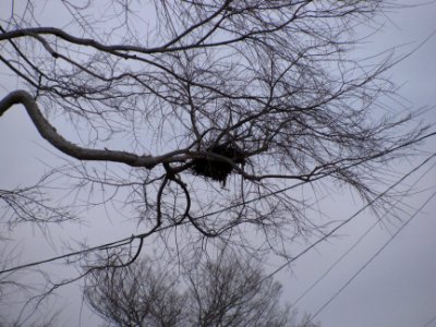 img_2481.jpg 