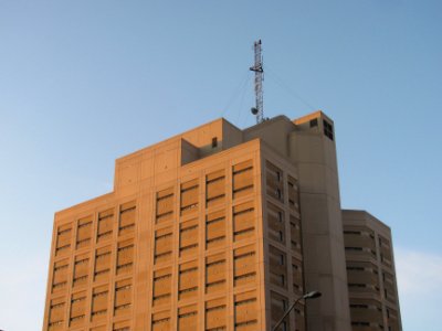 img_2446.jpg 