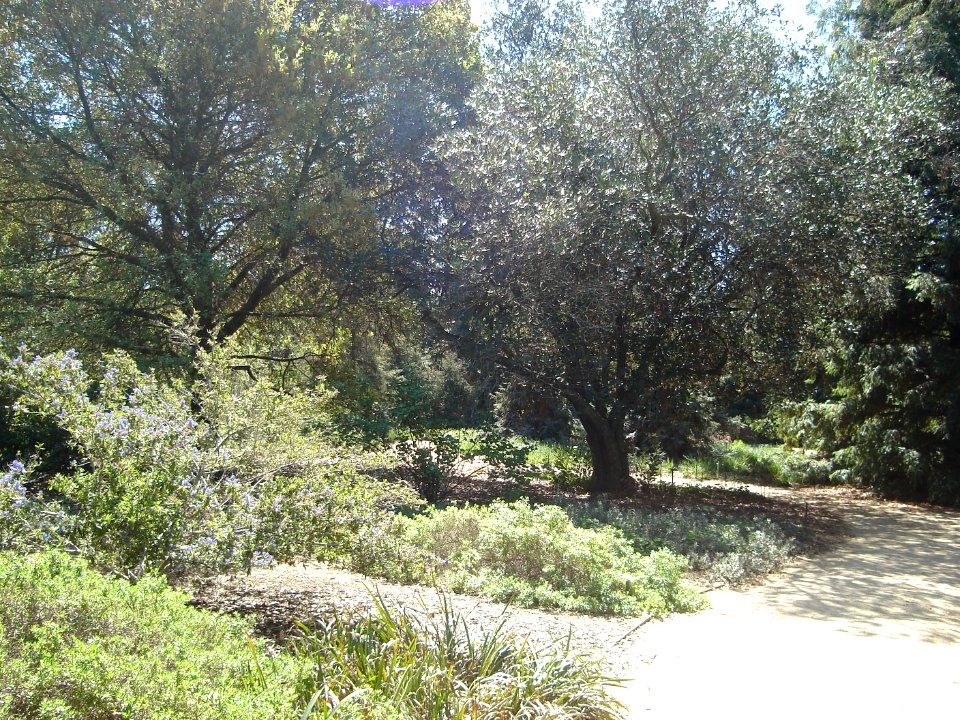 dsc01271.jpg 
