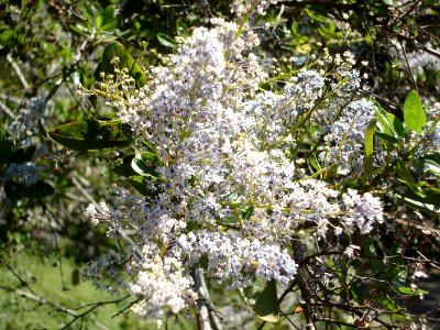 dsc01289.jpg 
