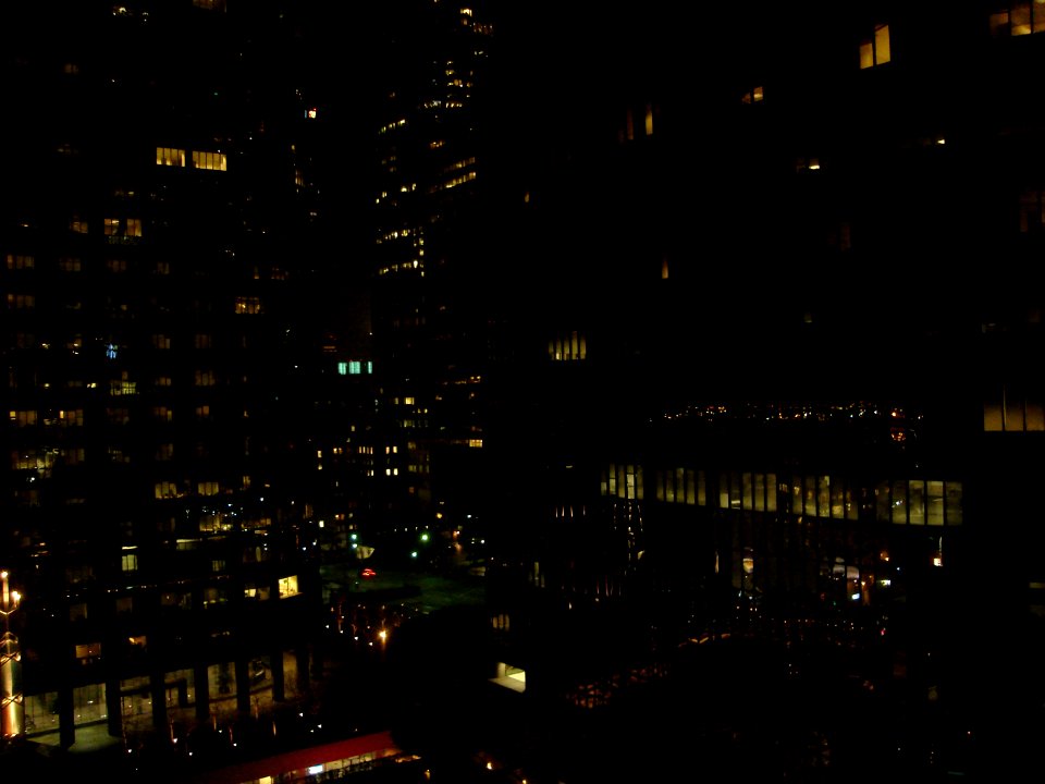 dsc01310.jpg 