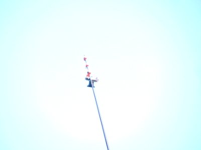 img_2622.jpg 