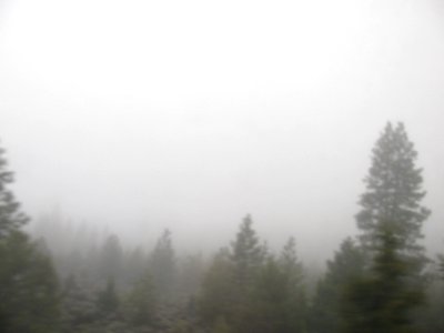 img_2654.jpg 