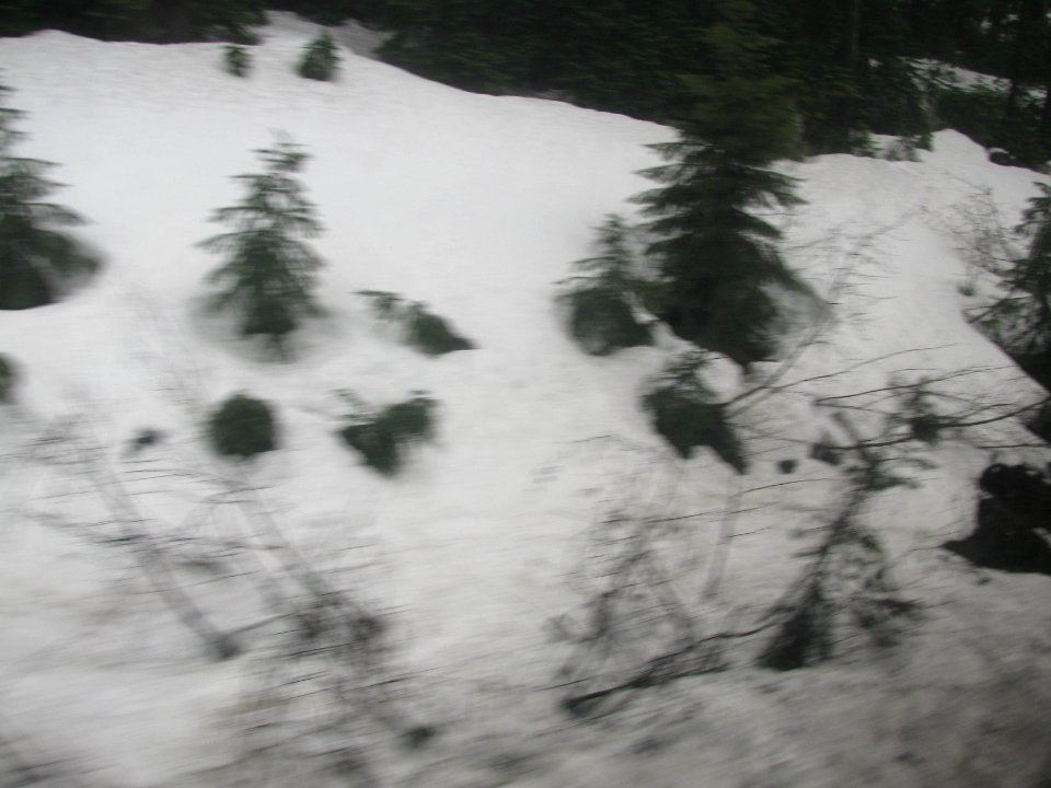 img_2683.jpg 