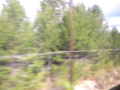img_2667.jpg 