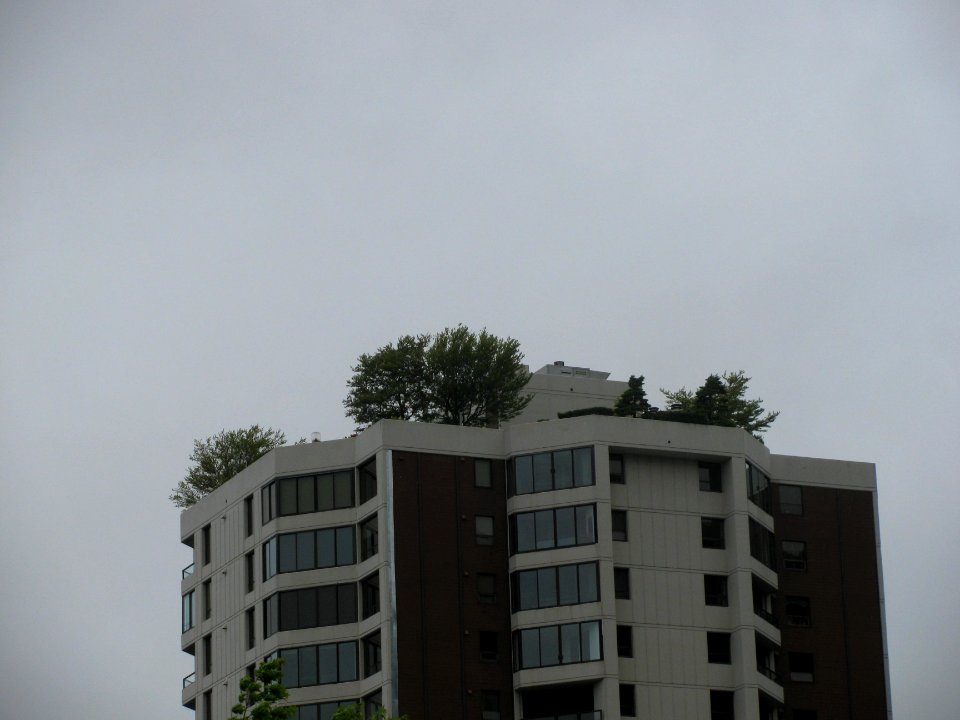 img_2745.jpg 