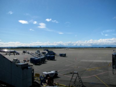 img_2768.jpg 