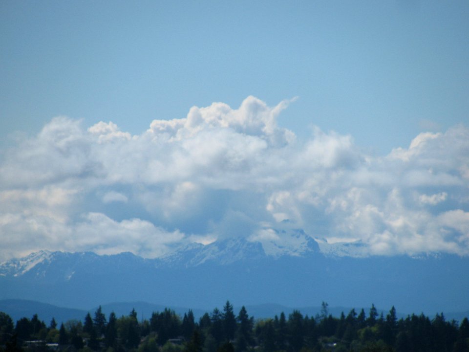 img_2769.jpg 