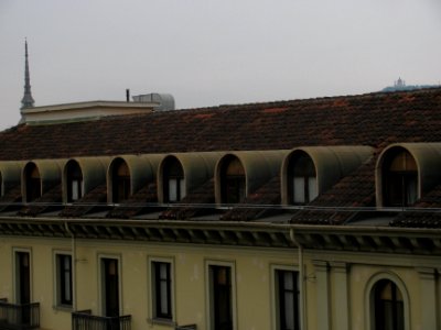 img_2841.jpg 