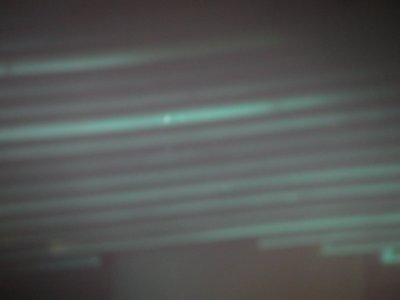 img_2870.jpg 