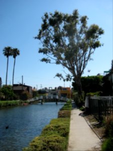img_2893.jpg 
