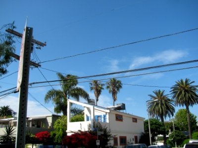 img_2901.jpg 
