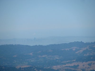 IMG_2931 