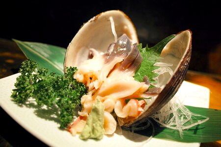 Sashimi shell tavern photo