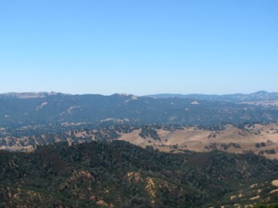 IMG_2929 