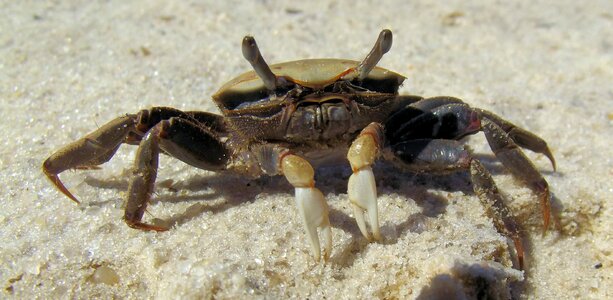 Salt water sand nature