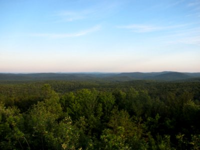 IMG_3003 