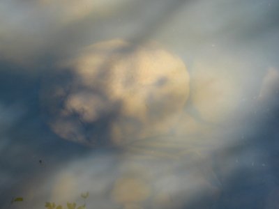 IMG_3022 