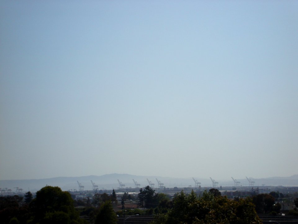 dsc01391.jpg 