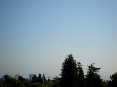 dsc01399.jpg 