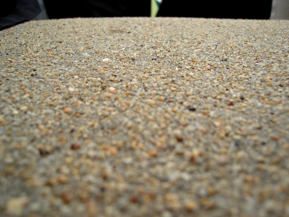 dsc01406.jpg 