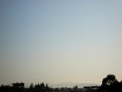 dsc01398.jpg 