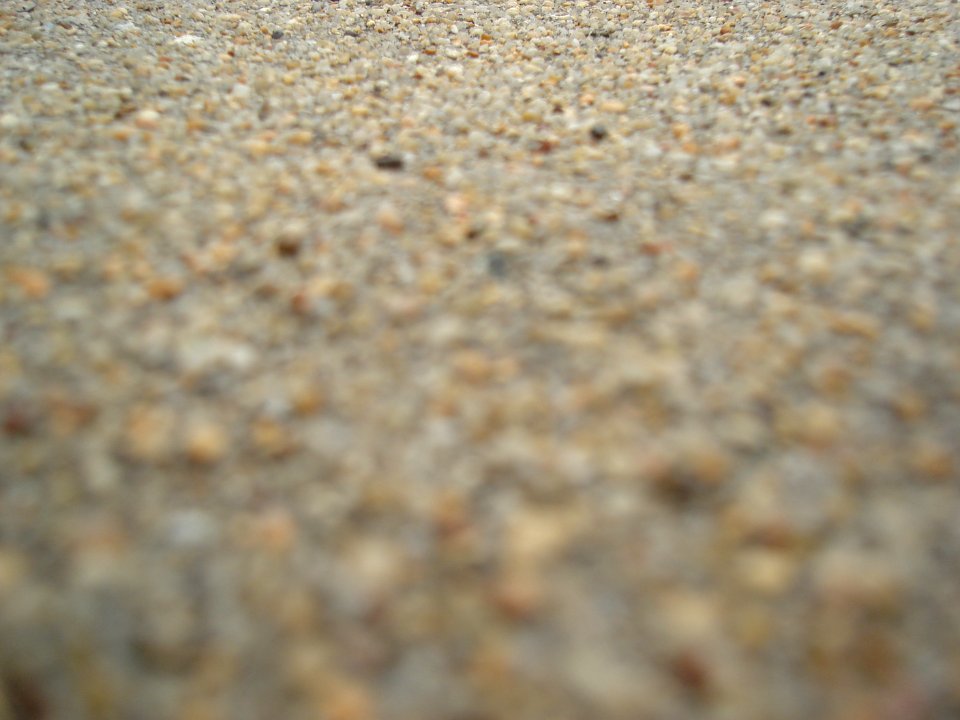 dsc01408.jpg 